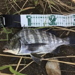 チニング~HAPPY RIDE ON!~